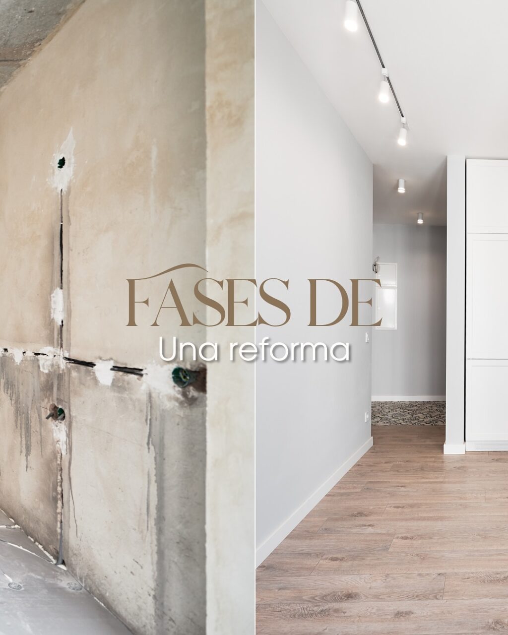 Instagram post from refconalicante. This post is in position 0.